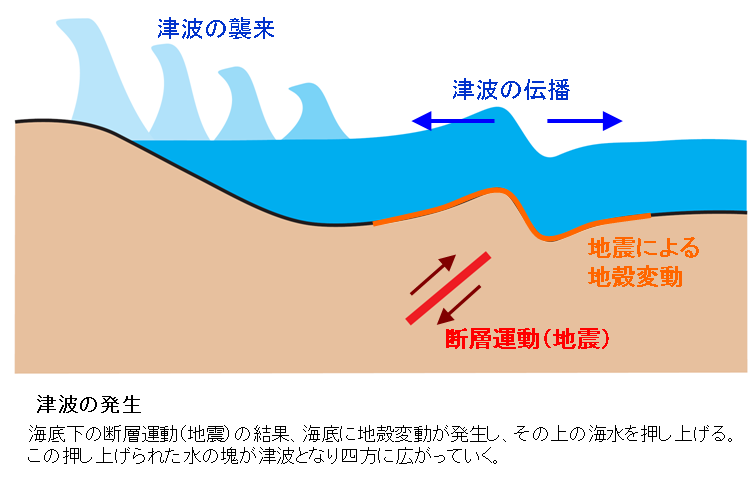 津波〔ハザードマップの確認を〕